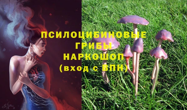 соль курить ск Гусев