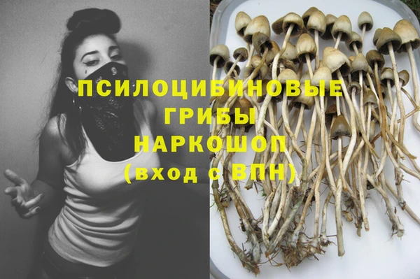 соль курить ск Горняк