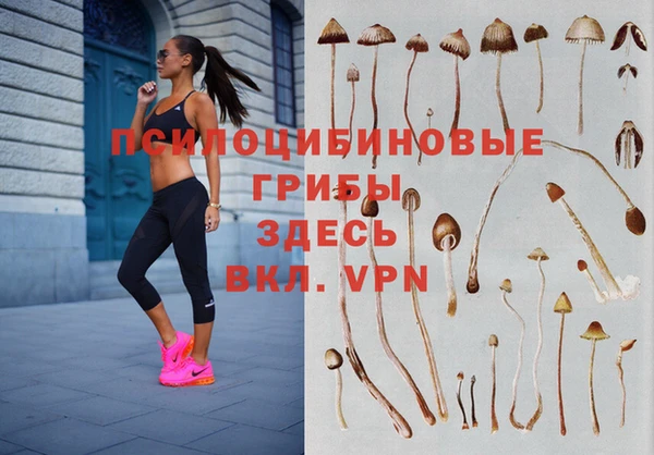 spice Горно-Алтайск