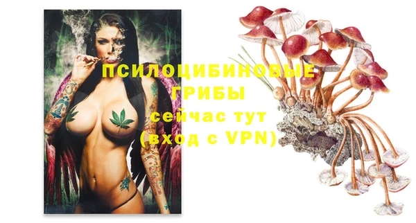 spice Горно-Алтайск