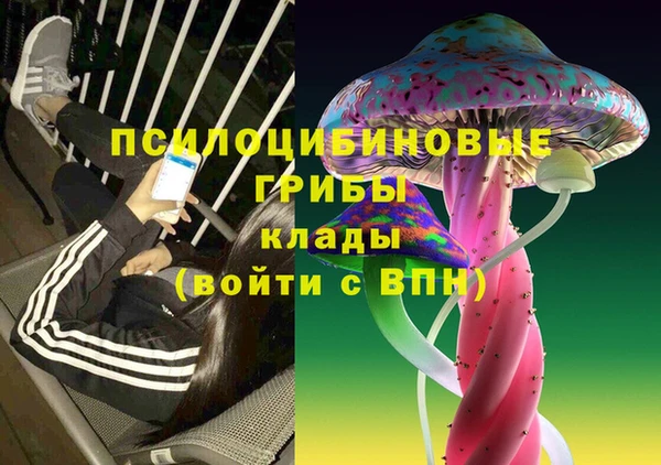 соль курить ск Горняк