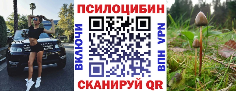 Купить закладки  Павловск  Псилоцибиновые грибы Magic Shrooms 